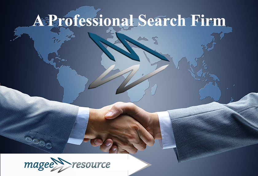 A Professional Search Firm